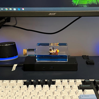 Thousand Sunny Ship in a Bottle
