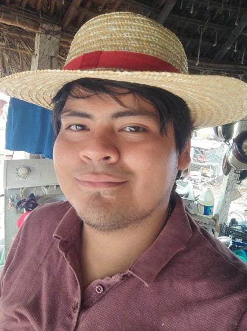 Monkey D. Luffy Straw Hat