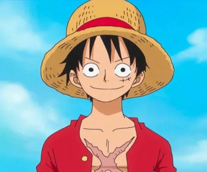 Monkey D. Luffy Straw Hat