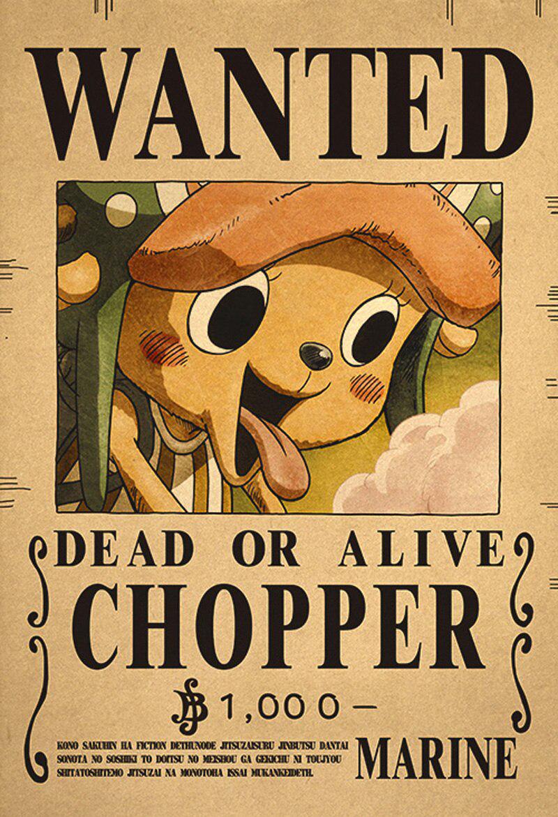 One Piece Bounty Posters