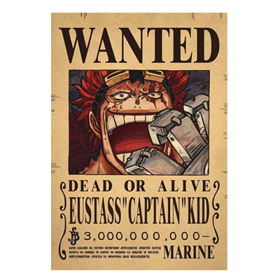 One Piece Bounty Posters